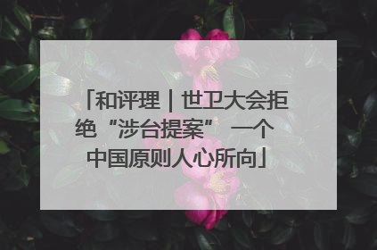和评理｜世卫大会拒绝“涉台提案” 一个中国原则人心所向