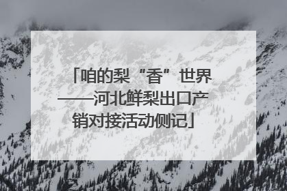 咱的梨“香”世界——河北鲜梨出口产销对接活动侧记