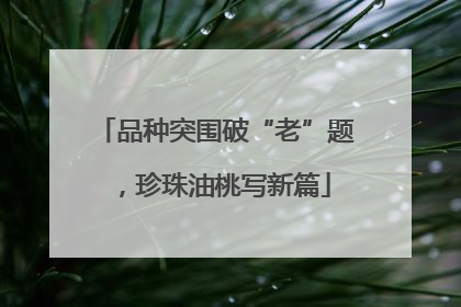 品种突围破“老”题，珍珠油桃写新篇