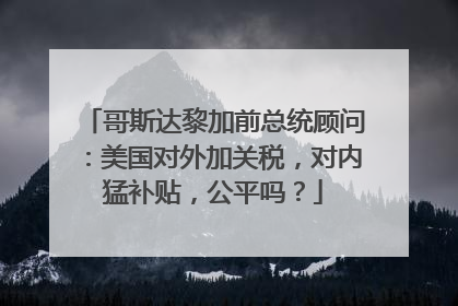 哥斯达黎加前总统顾问：美国对外加关税，对内猛补贴，公平吗？
