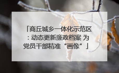 商丘城乡一体化示范区：动态更新廉政档案 为党员干部精准“画像”