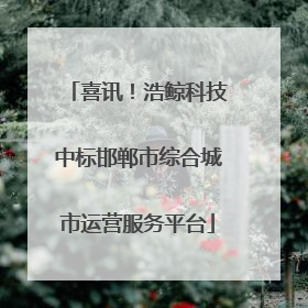 喜讯！浩鲸科技中标邯郸市综合城市运营服务平台