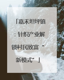 嘉禾坦坪镇：针织产业解锁村民致富“新模式”