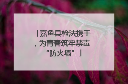 嘉鱼县检法携手，为青春筑牢禁毒“防火墙”
