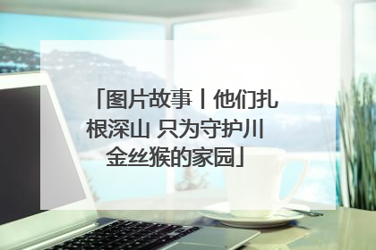 图片故事丨他们扎根深山 只为守护川金丝猴的家园