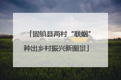 固镇县两村“联姻”种出乡村振兴新图景