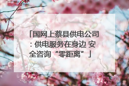 国网上蔡县供电公司：供电服务在身边 安全咨询“零距离”