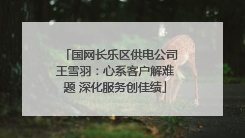 国网长乐区供电公司王雪羽：心系客户解难题 深化服务创佳绩