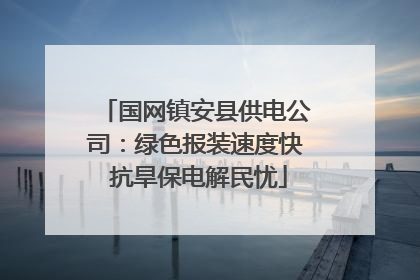 国网镇安县供电公司：绿色报装速度快 抗旱保电解民忧