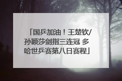 国乒加油！王楚钦/孙颖莎剑指三连冠 多哈世乒赛第八日赛程