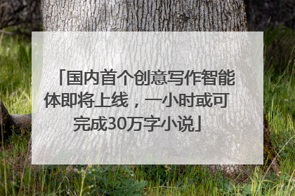 国内首个创意写作智能体即将上线，一小时或可完成30万字小说