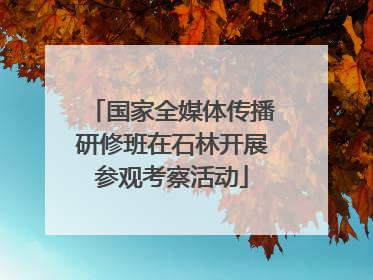 国家全媒体传播研修班在石林开展参观考察活动