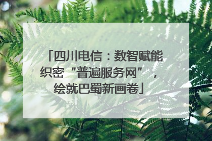 四川电信：数智赋能织密“普遍服务网”，绘就巴蜀新画卷