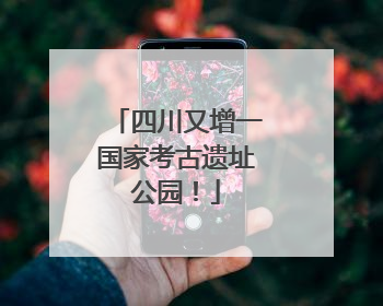 四川又增一国家考古遗址公园！