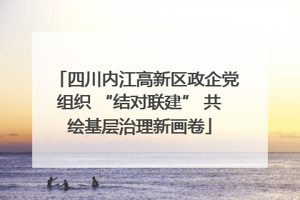 四川内江高新区政企党组织 “结对联建” 共绘基层治理新画卷