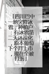 四川巴中一地突降冰雹，种植户：有冰雹第二天还没化，原本葡萄下个月上市，现在全被打落