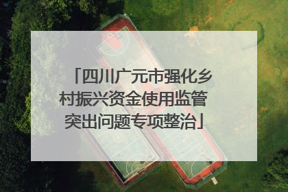 四川广元市强化乡村振兴资金使用监管突出问题专项整治