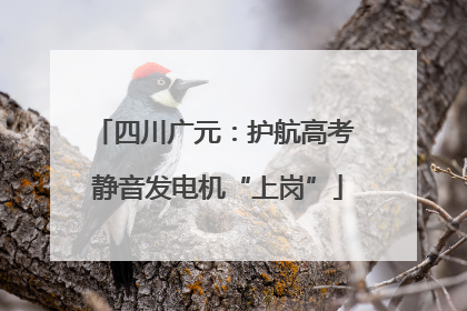 四川广元：护航高考 静音发电机“上岗”
