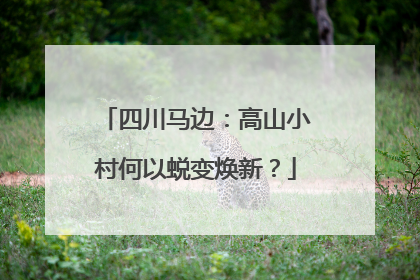 四川马边：高山小村何以蜕变焕新？