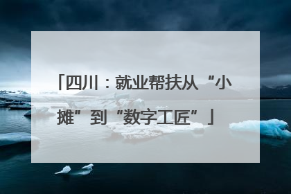 四川：就业帮扶从“小摊”到“数字工匠”