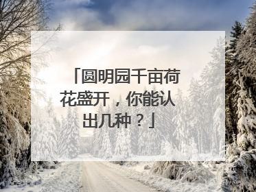 圆明园千亩荷花盛开，你能认出几种？
