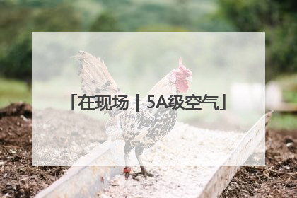 在现场｜5A级空气