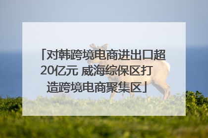 对韩跨境电商进出口超20亿元 威海综保区打造跨境电商聚集区