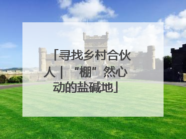 寻找乡村合伙人｜“棚”然心动的盐碱地