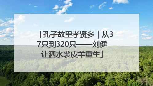 孔子故里孝贤多｜从37只到320只——刘健让泗水裘皮羊重生
