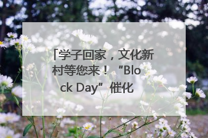 学子回家，文化新村等您来！“Block Day”催化学院式街区新生态