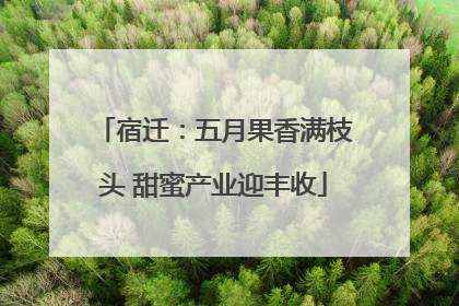 宿迁：五月果香满枝头 甜蜜产业迎丰收