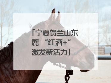 宁夏贺兰山东麓 “红酒+”激发新活力