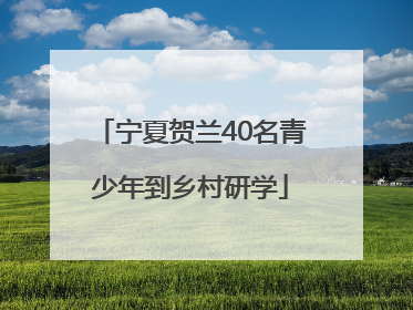 宁夏贺兰40名青少年到乡村研学