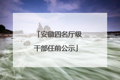 安徽四名厅级干部任前公示