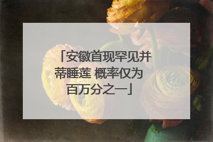 安徽首现罕见并蒂睡莲 概率仅为百万分之一
