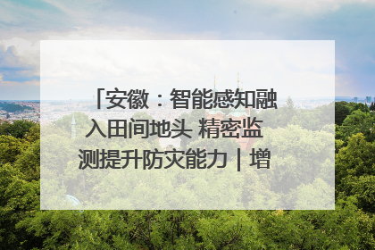 安徽：智能感知融入田间地头 精密监测提升防灾能力｜增发国债气象项目落地见效系列报道