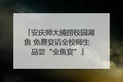 安庆师大捕捞校园湖鱼 免费宴请全校师生品尝“全鱼宴”
