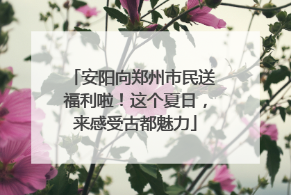 安阳向郑州市民送福利啦！这个夏日，来感受古都魅力