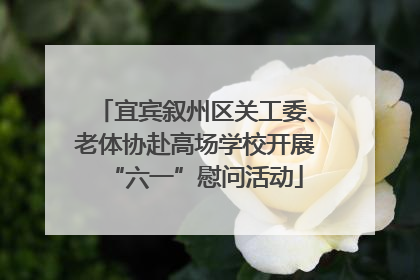 宜宾叙州区关工委、老体协赴高场学校开展“六一”慰问活动