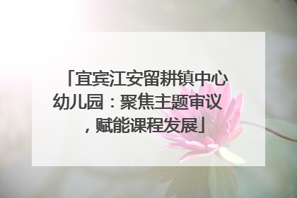宜宾江安留耕镇中心幼儿园：聚焦主题审议，赋能课程发展