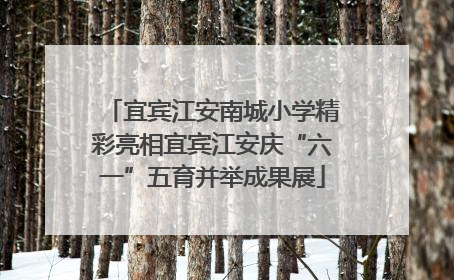 宜宾江安南城小学精彩亮相宜宾江安庆“六一”五育并举成果展