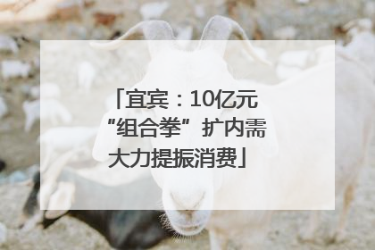 宜宾：10亿元“组合拳”扩内需 大力提振消费