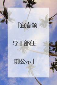 宜春领导干部任前公示