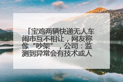 宝鸡两辆快递无人车闹市互不相让，网友称像“吵架”，公司：监测到异常会有技术或人为干预处置