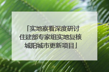 实地察看深度研讨 住建部专家组实地复核城阳城市更新项目