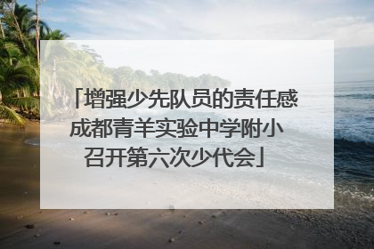 增强少先队员的责任感 成都青羊实验中学附小召开第六次少代会