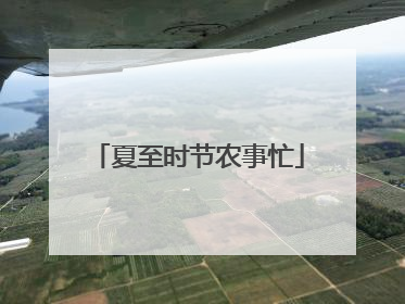 夏至时节农事忙