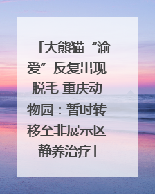 大熊猫“渝爱”反复出现脱毛 重庆动物园：暂时转移至非展示区静养治疗