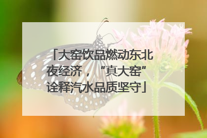 大窑饮品燃动东北夜经济，“真大窑”诠释汽水品质坚守