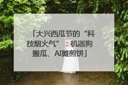 大兴西瓜节的“科技烟火气”：机器狗搬瓜、AI摊煎饼